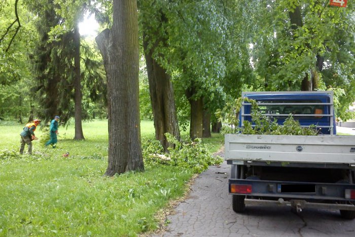 Ilustračný obrázok k článku Počasie vyčíňalo aj v uliciach Bystrice: V našom meste poškodil vietor až 183 stromov!