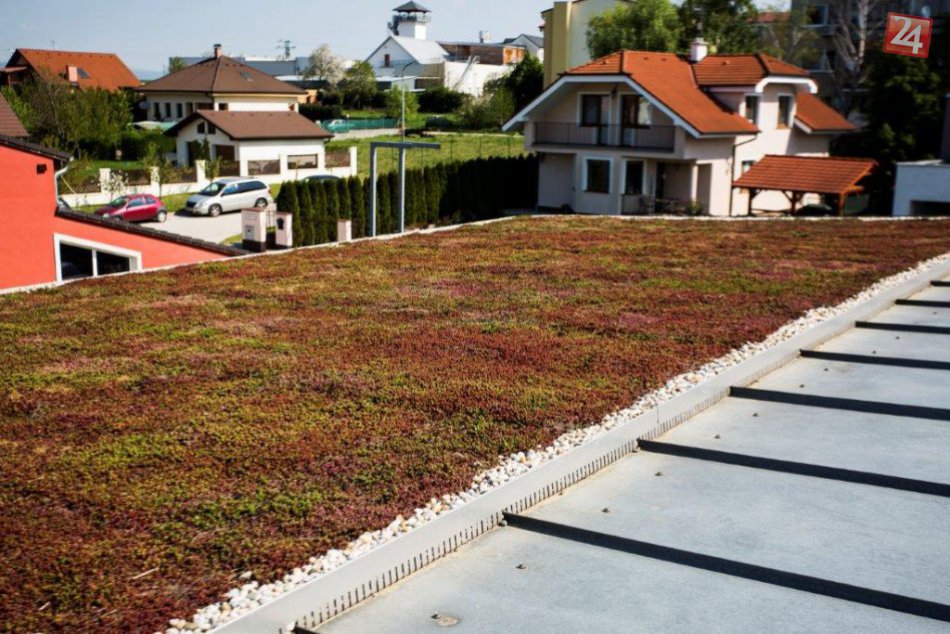 Ilustračný obrázok k článku Zelené strechy aj v našom meste? Vďaka eurofondom to možné je