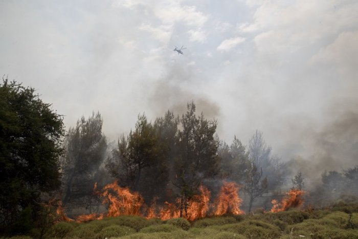 Ilustračný obrázok k článku V okrese Brezno horel les: V nasadení boli desiatky hasičov aj s technikou