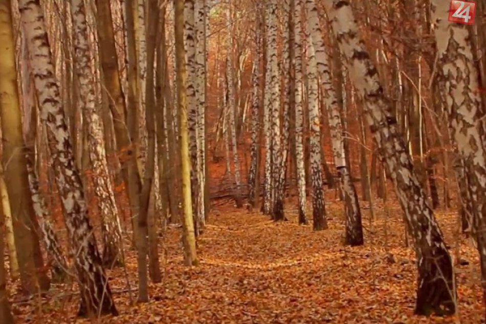 FOTO: Zábery prírody z úchvatného videa mladého Bystričana
