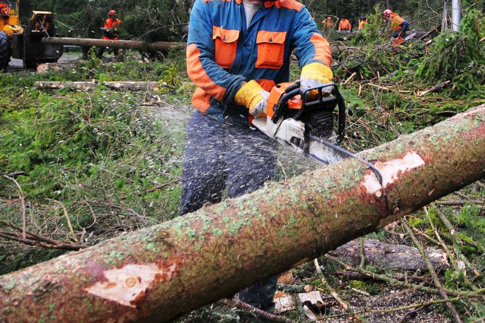 Ilustračný obrázok k článku Neďaleko Bystrice zavalil pilčíka strom. Na miesto vyrazili hasiči s technikou