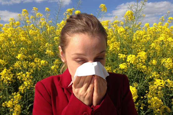Ilustračný obrázok k článku Trpíte alergiami? V Bystrici namontovali peľový lapač, na toto poslúži