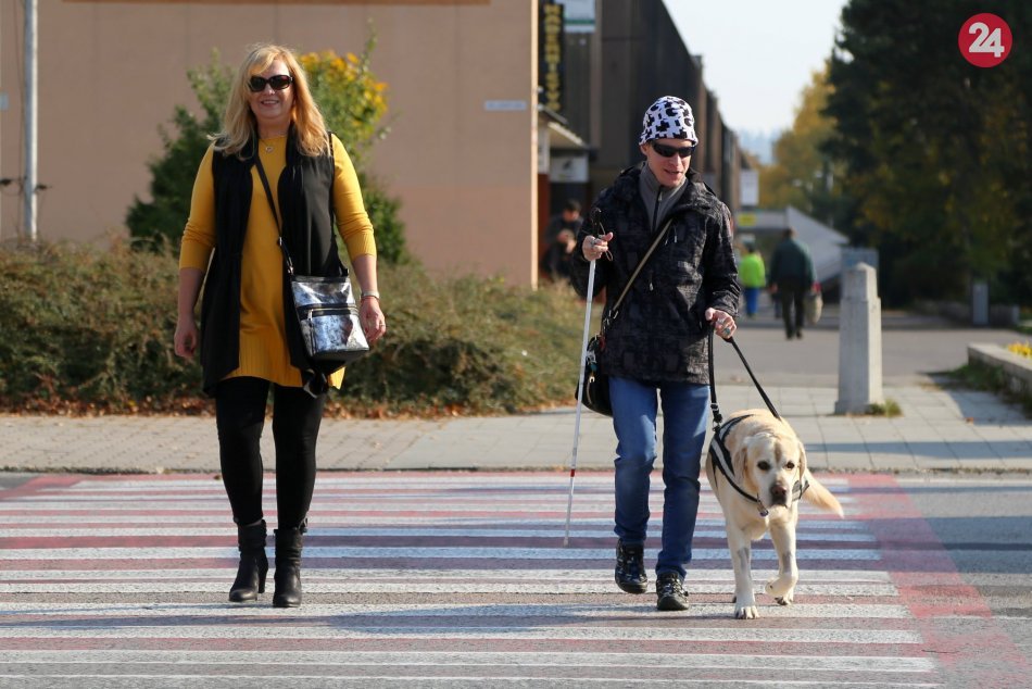 Ilustračný obrázok k článku Deň bielej palice v Banskobystrickom kraji: Koľko % vodičov nedalo prednosť nevidiacim?