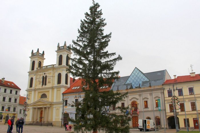 Ilustračný obrázok k článku HLASUJTE: Bystrický vianočný stromček už stojí na námestí. Páči sa vám? FOTO