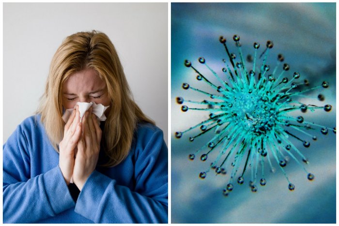 Ilustračný obrázok k článku Zaujímavé zistenia z Banskobystrického kraja: Prečo ubúda chrípky a respiračných ochorení?
