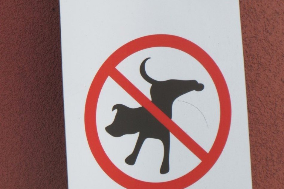 Ilustračný obrázok k článku UPOZORNENIE pre bystrických psíčkarov: Viete, za čo všetko vám hrozí POKUTA?