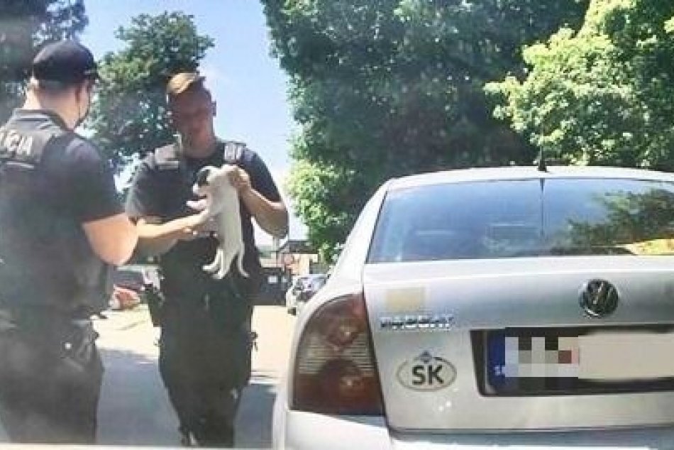 Ilustračný obrázok k článku V Banskobystrickom kraji takmer došlo k nešťastiu: Išlo o život psíka, policajti konali