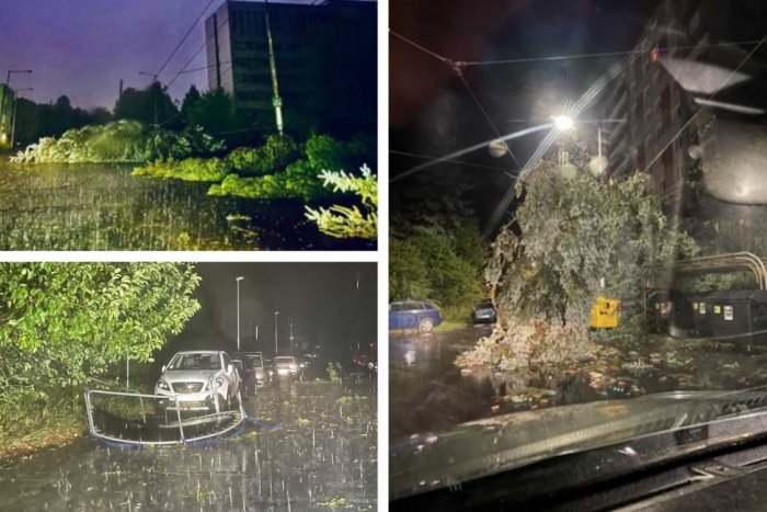 Ilustračný obrázok k článku Hrozivé zábery z vyčíňania nočnej búrky: V Bystrici lámala stromy a ničila majetok, FOTO