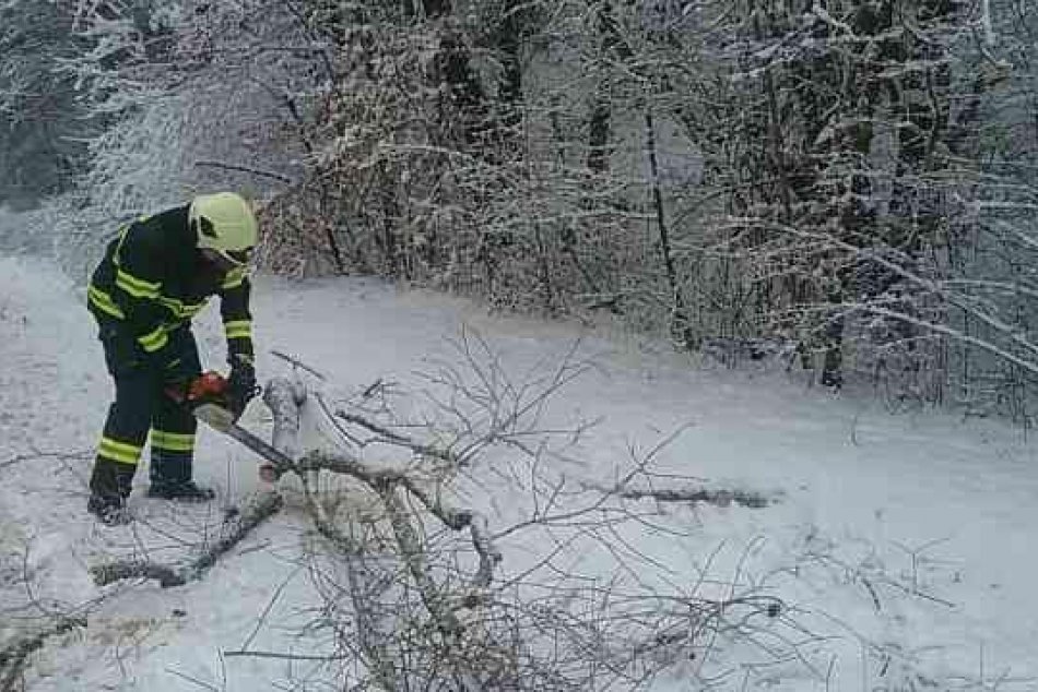 Ilustračný obrázok k článku Husté sneženie narobilo PROBLÉMY aj vo Zvolene: Popadané stromy zablokovali cesty