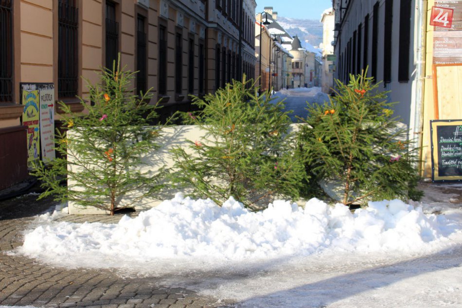 V OBRAZOCH: Betónové zátarasy v centre Bystrice zdobia vianočné stromčeky