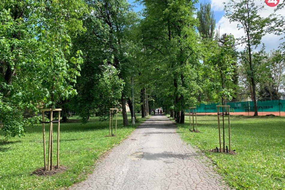 V OBRAZOCH: V bystrickom parku vysadili 42 nových stromov