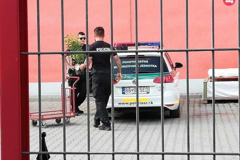 V OBRAZOCH: Policajti počas služby ukladali do služobného vozidla priesady